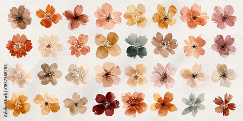 Collection of delicate dried flowers in various pastel and muted earthy tones arranged in rows
