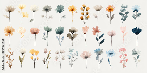 Collection of delicate watercolor floral illustrations with soft pastel colors and botanical elements