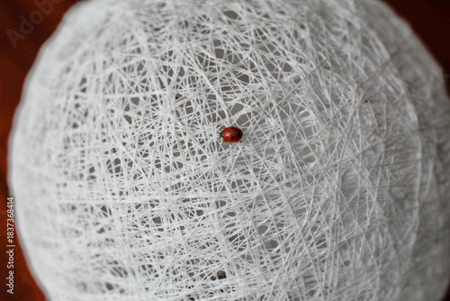 Ladybug on White Thread Sphere Macro