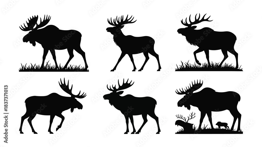 Obraz premium Collection of six black silhouette moose poses on a white background