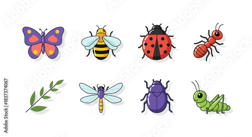Colorful insects collection butterfly bee ladybug ant beetle dragonfly