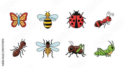Colorful insects illustration set butterfly bee ladybug and more