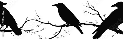 Black raven silhouettes perched on bare tree branches in minimalist dark design, eerie atmospheric artwork perfect for Halloween, gothic themes, and decor