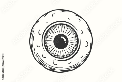 Monochrome Eyeball Drawing with Detailed Iris, Pupil, and Eyelid on White Background