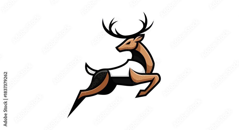 Fototapeta premium Adobe Illustrator Artwork