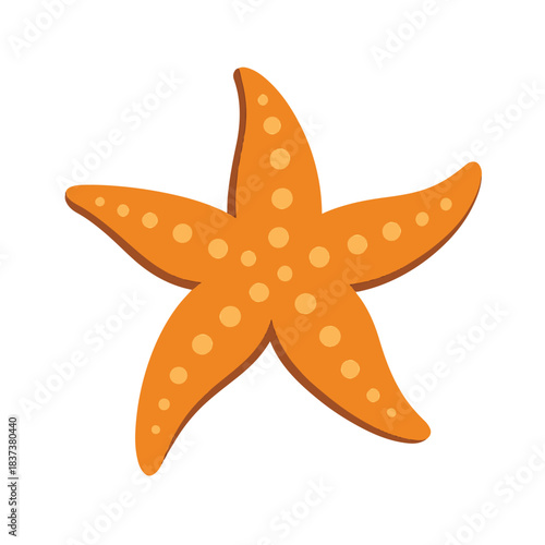 Elegant starfish vector with smooth curves, warm orange tones, and minimal flat cartoon styling.