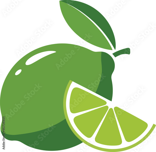 Whole Lime with Leaf and Single Slice Vector Illustration