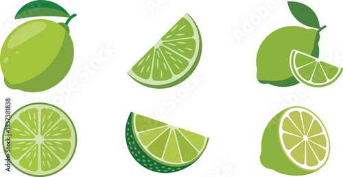 Fresh Green Lime Slices and Whole Fruit Vector Set