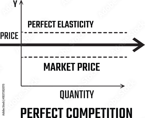 Perfect Elasticity Demand Curve