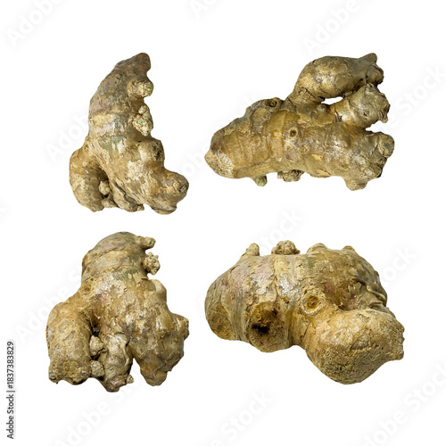 Ginger Bit Cluster – Aromatic Root Isolated