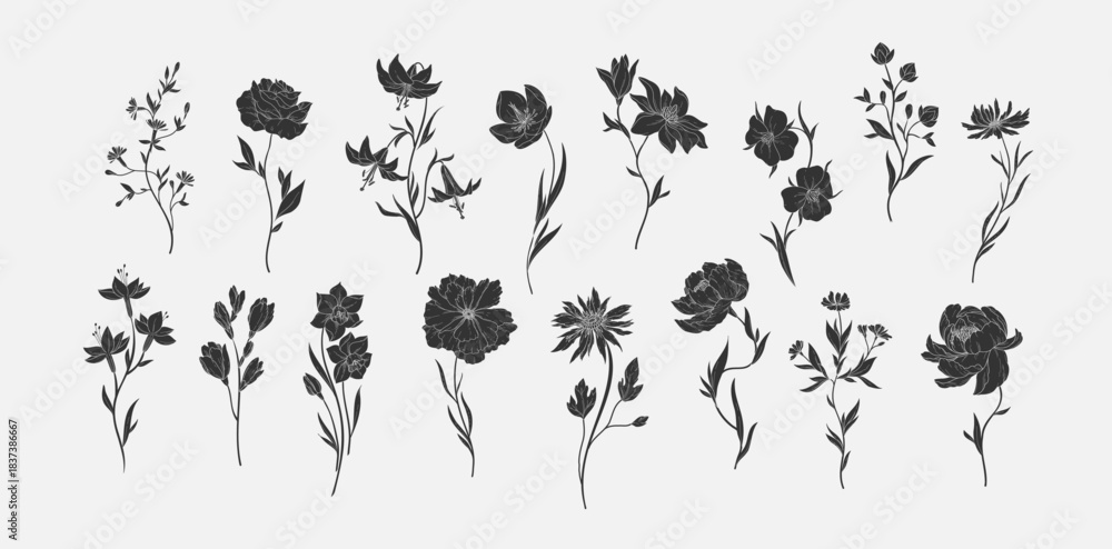 Fototapeta premium Set of various flowers and branch in silhouette or linocut drawing style. Luxury floral collection for wedding invitation, wallpaper art or save the date card