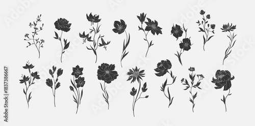 Set of various flowers and branch in silhouette or linocut drawing style. Luxury floral collection for wedding invitation, wallpaper art or save the date card