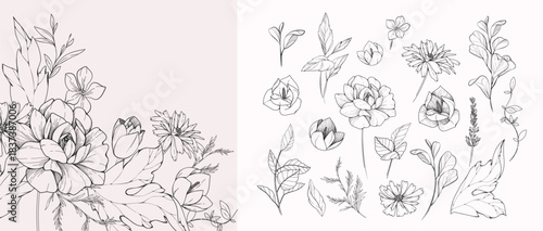 Set of detailed black and white drawing various flowers and leaves. Luxury floral collection for wedding invitation, wallpaper art or save the date card. Botanical vector