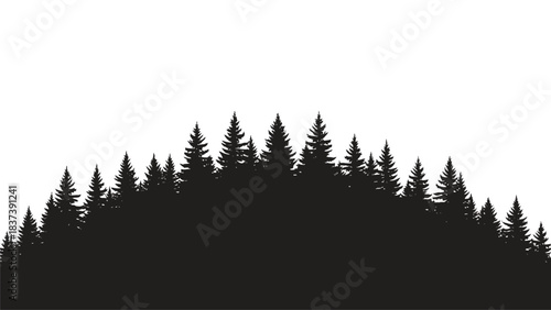 Silhouette of a dense evergreen forest against a stark white background