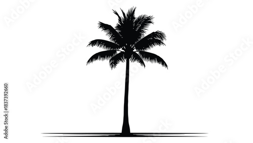 A solitary black palm tree silhouette against a stark white background