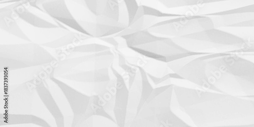 Isolated light grungy torn old paper material abstract background texture. Crumpled paper Blank white crumpled and creased paper poster.	