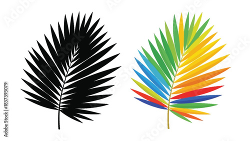 Contrasting palm leaves a vibrant spectrum against monochrome simplicity