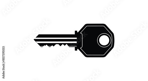A simple black key illustration with a distinct outline silhouette