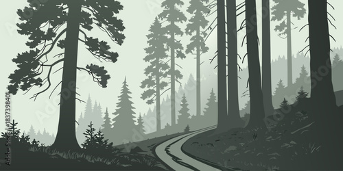 Flat Redwood forest foggy trail silhouette