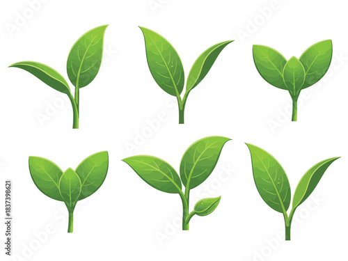 Set of six bright green young plant sprouts or seedlings