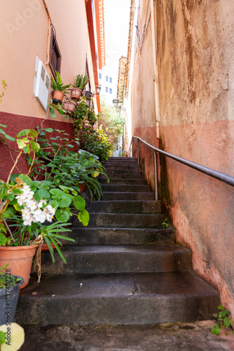 Floral Perspective