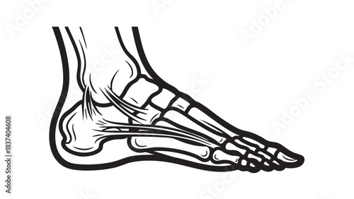 Hand of a man holding a pair of leather ice skate boots for winter sports fashion illustration on a white background