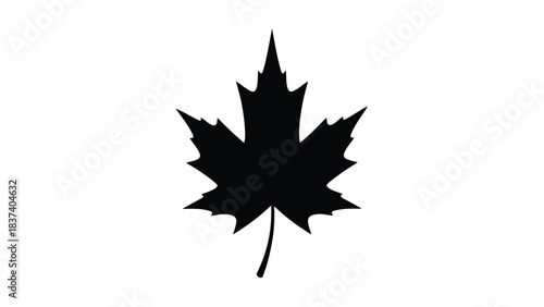 A striking silhouette of a maple leaf against a clean white background