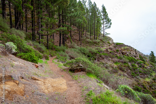 Hiking in La Gomera