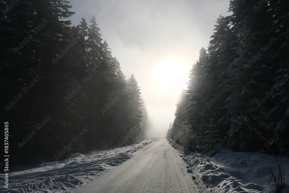 Fototapeta premium snow covered road