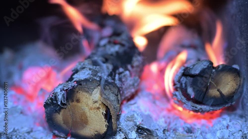 wood fire that warms with its warm flame