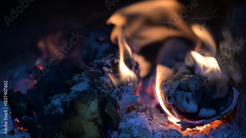 wood fire that warms with its warm flame