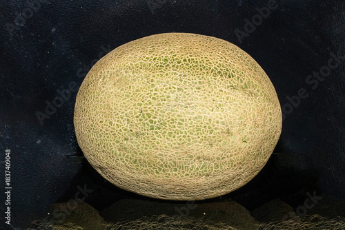 Whole Cantaloupe melon