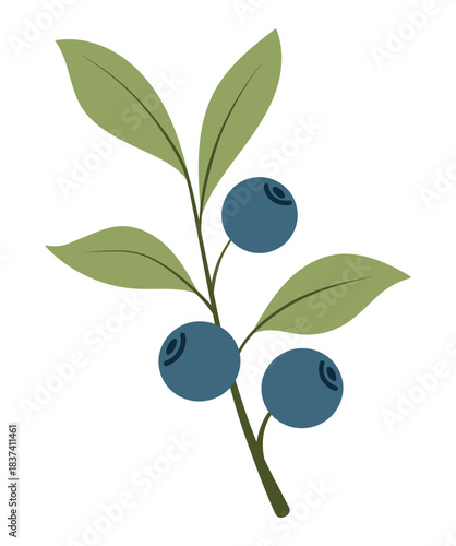 Blueberries on a branch. Flat vector illustration of a sprig with berries isolated on a white background. Suitable for packaging design, labels, logos, recipes, infographics, and print materials.