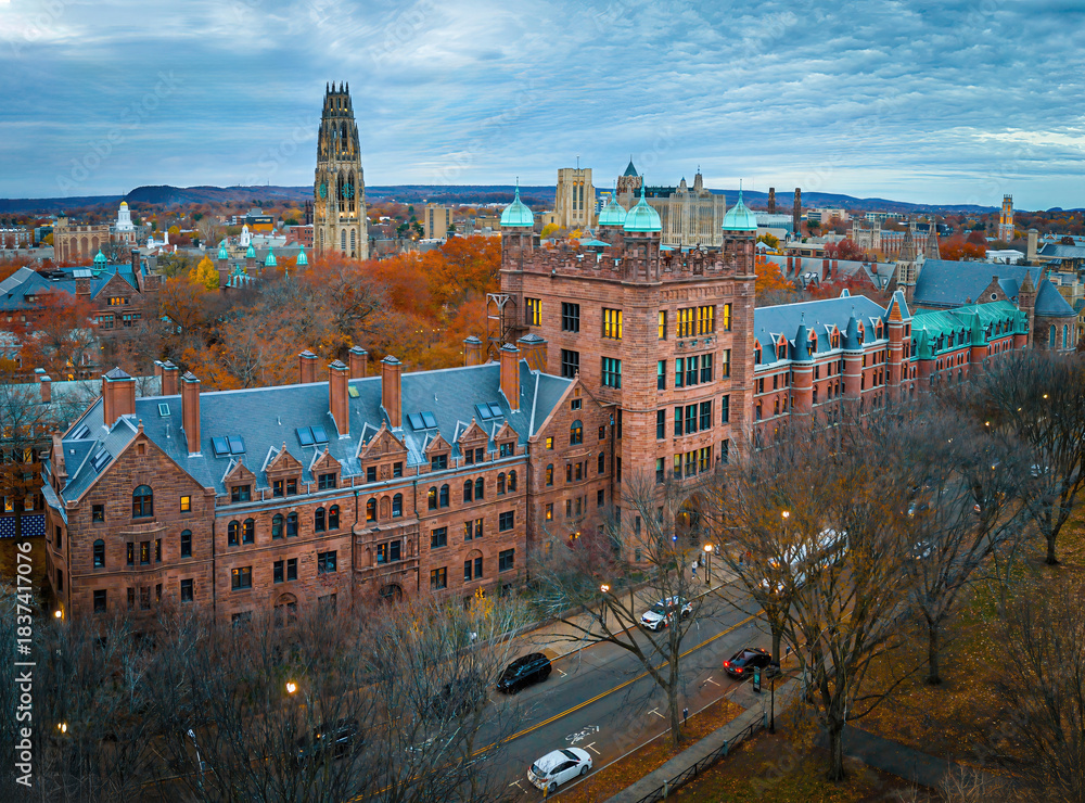 Photography Poster Aerial View of Yale Old Campus along Tree-Lined