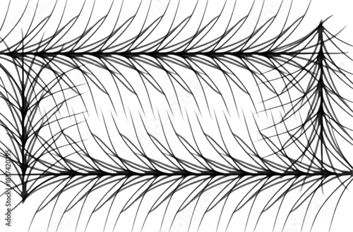 Stunning abstract black and white brush stroke border design creating an elegant, modern frame effect