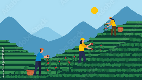 Terraced hillsides with farmers tending crops under sunny sky.