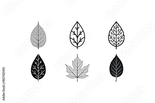 leaf vein solid silhouette set