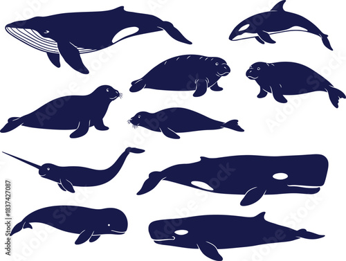 Set of eleven dark blue marine mammal silhouettes on a white background whale dolphin