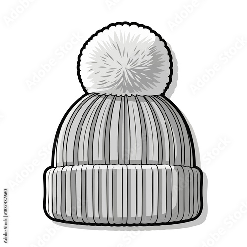 A stylish winter hat with a fluffy pompom
