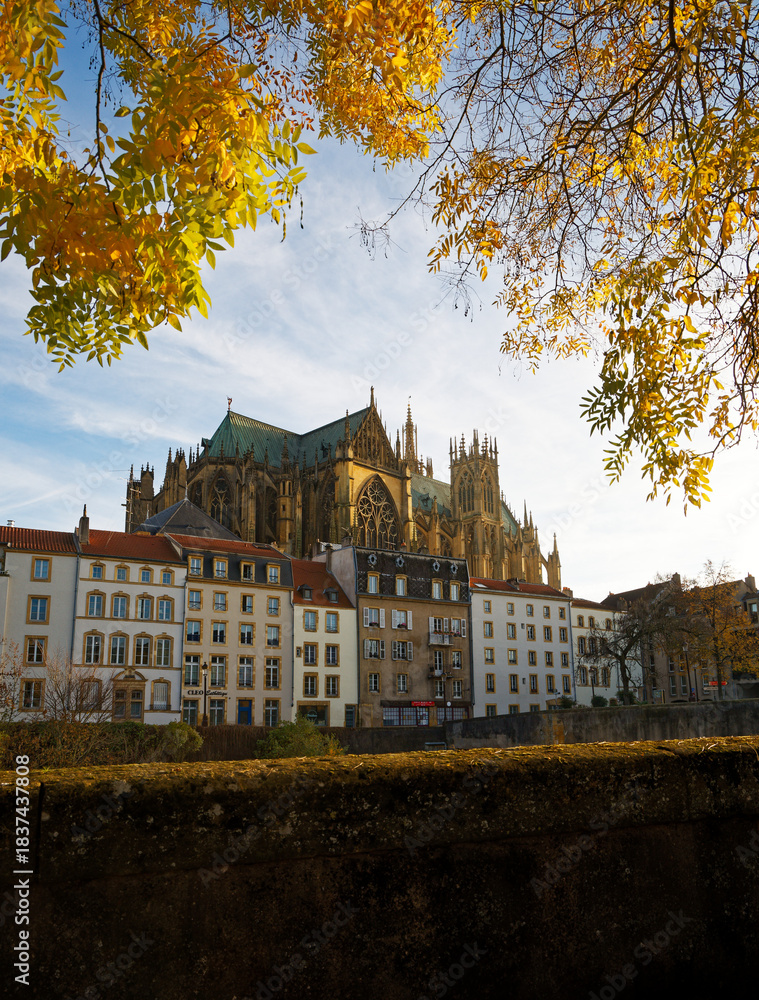 Naklejka premium autumn in the city