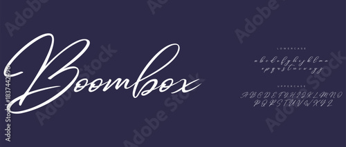 A bold, playful script with a touch of retro style. This font has a fun, energetic vibe, perfect for designs that need to pop.