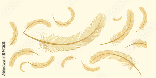Light brown feather pattern, soft airy texture, delicate nature motif, pale yellow background design, flat vector illustration