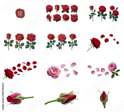 png set of icons in theme of red roses in various stages, showcasing blooms, buds, and scattered petals.