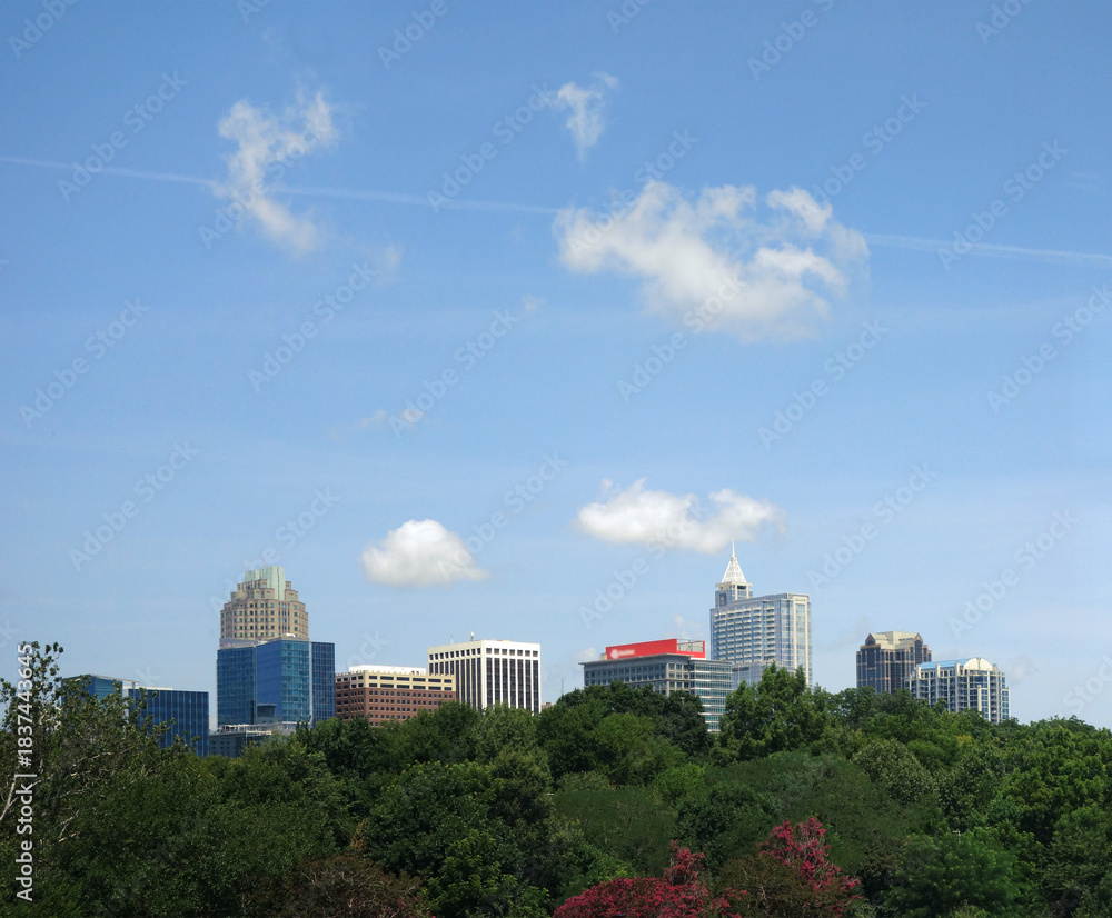 Fototapeta premium View of the Raleigh North Carolina skyline looking West over dense trees