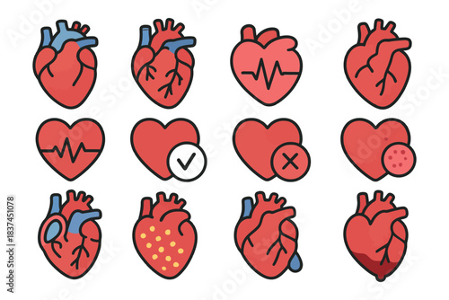 Collection of heart icons: anatomical and cartoon styles with various patterns.