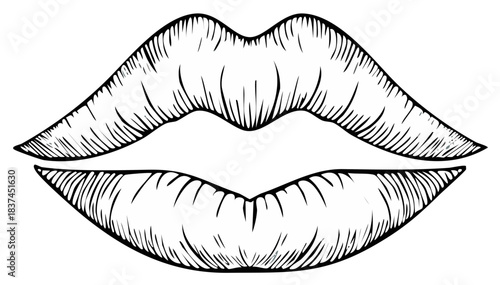Sensual full lips in a vintage engraving style black and white line art illustration