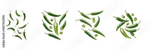Set of Hot Green Chili Peppers and Spice, Isolated on  white with Oil Paint Texture (PNG)