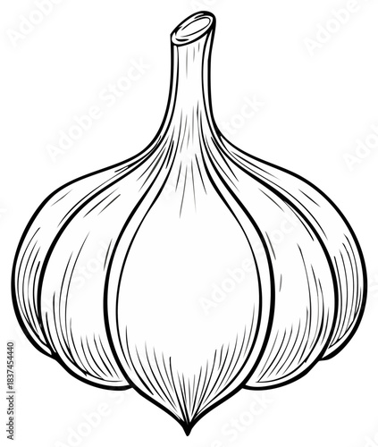 Stylized black and white illustration of a whole garlic bulb with detailed lines