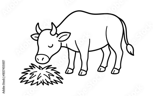 Simple black and white cow grazing illustration for coloring books