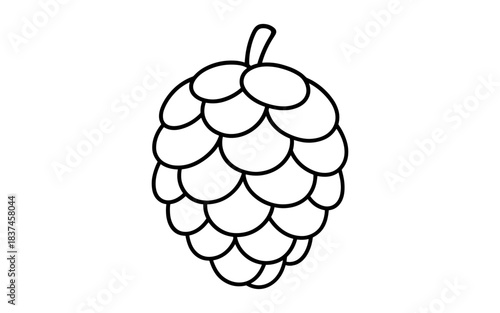 Outline of a hop cone for brewing and botanical design projects